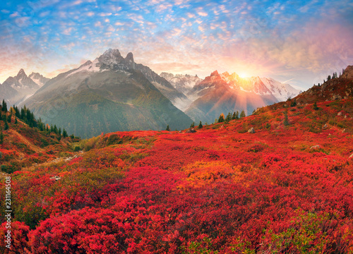 Czerwona jesień Chamonix w Alpach