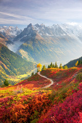 Red autumn Chamonix in the Alps