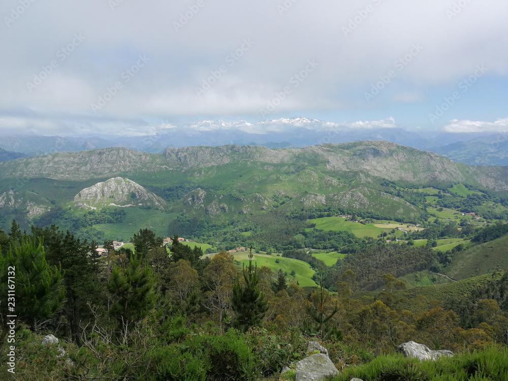 Naklejka premium Picos de Europa