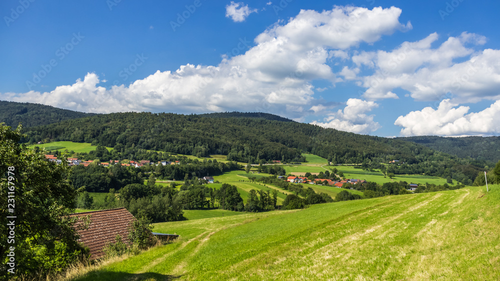 Beautiful view near Kieflitz-Bavaria-Germany