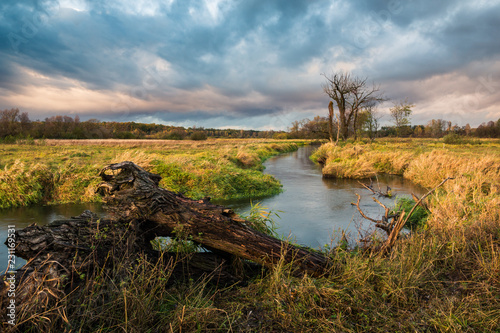 Fototapeta Naklejka Na Ścianę i Meble -  Landscape with Jeziorka river at clody day near Piaseczno, Masovia, Poland