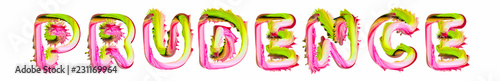Fotografia Prudence - pink and green text written on white background