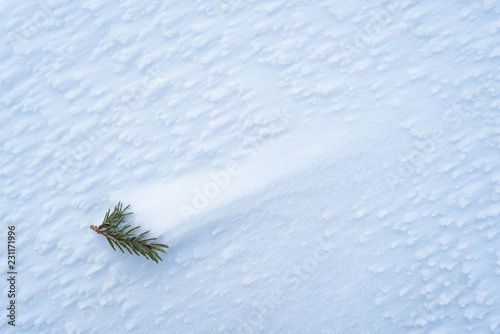 Winter background with frost texture
