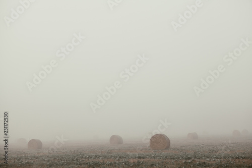 Autumn misty morning and bales of straw on the field after harvest of corn photo