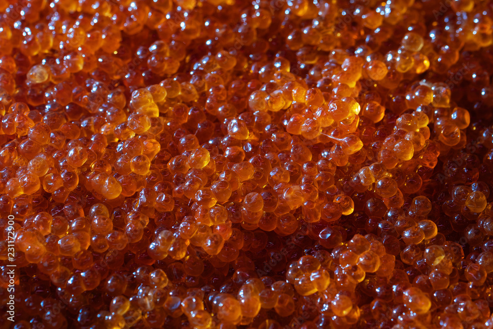 Close up view of salted granular caviar red salmon fish as food background Close up view of salted granular caviar red salmon fish as food background