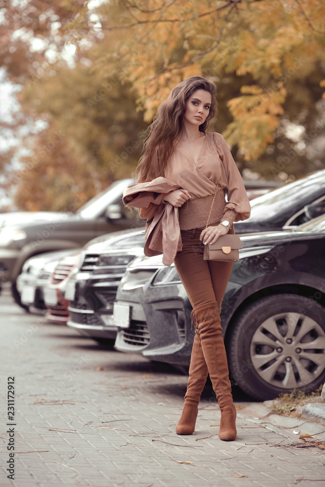 consultant Tijd Verrijking Beautiful stylish woman. Fashion outfit, autumn trend. Young casual  brunette walking by cars in street. Fashion girl holding purse, wearing  brown trousers, pastel blouse and luxurious accessories. Stock Photo |  Adobe Stock
