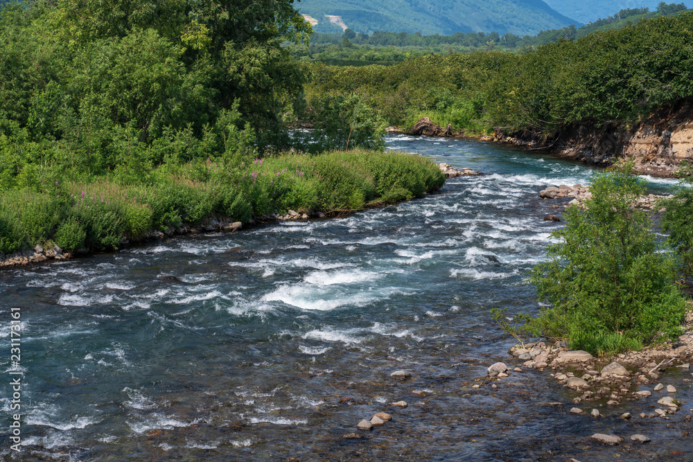 Summer landscape of mountain river and green forest on riverbank on sunny day Summer landscape of mountain river and green forest on riverbank on sunny day