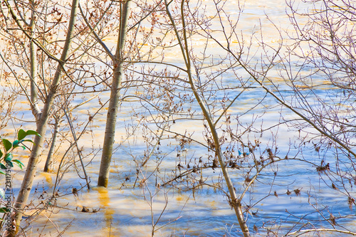 Flooding after torrential rain in a sunny day - concept image