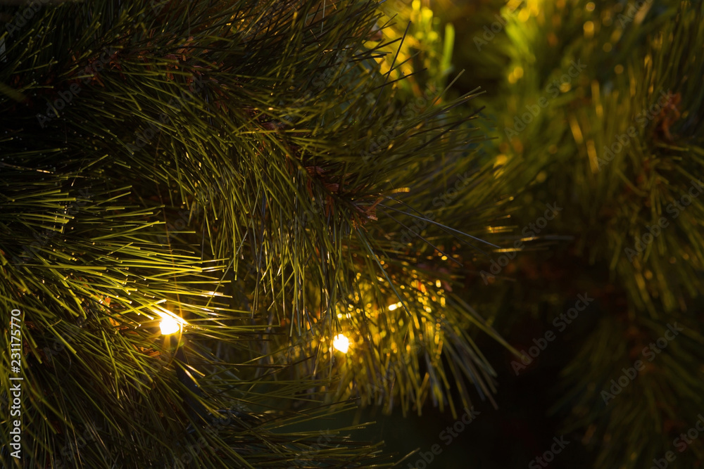 Fototapeta premium Christmas Tree Lights Lit Up at Night