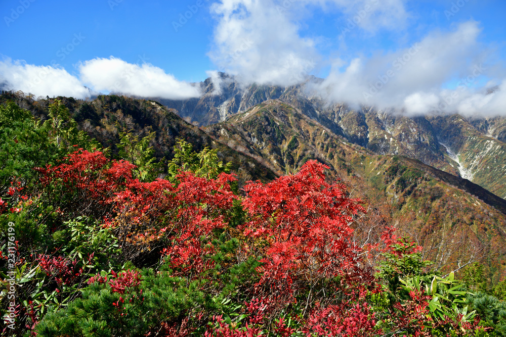 長野県白馬村 秋の小遠見山から見る五竜岳