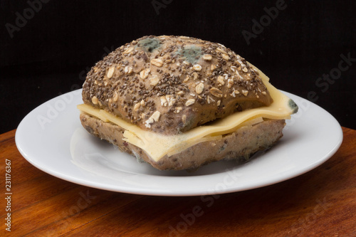 Käsebrötchen mit Schimmel / verdorben photo