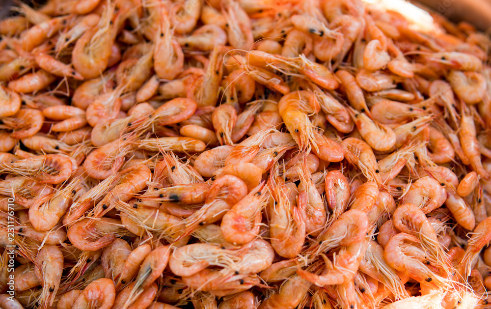 Close-up view of a pile of fresh little shripms.