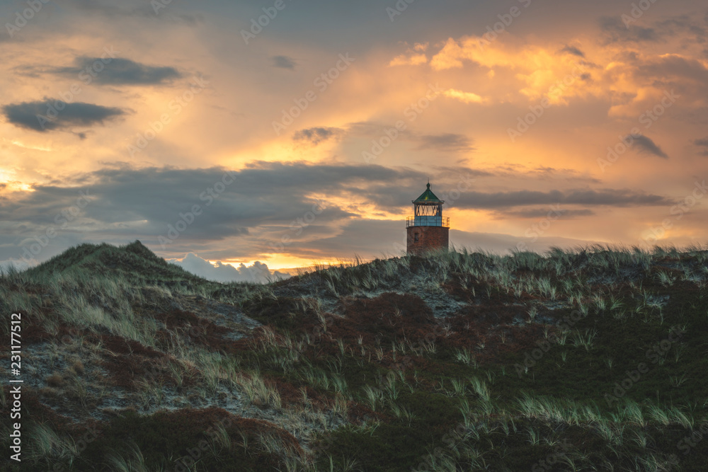 Germany, Schleswig-Holstein, Sylt, Kampen, cross light in dunes at sunset Germany, Schleswig-Holstein, Sylt, Kampen, cross light in dunes at sunset
