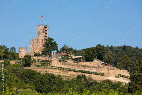 Germany, Rhineland-Palatinate, Wachenheim, Wachtenburg, ruin photo