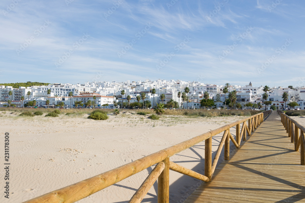 Obraz premium Wooden boardwalk leads between palm trees to the white city of Conil de la Frontera in Andalusia with blue sky