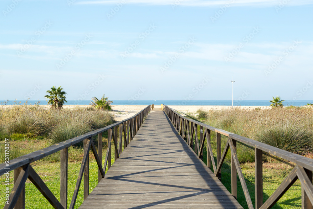 Wooden planks walkway leads between palm trees on a beach near the sea with blue sky