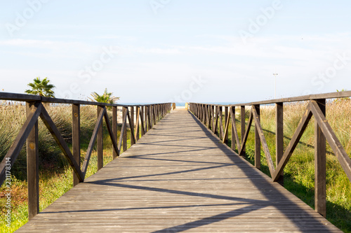 Wooden planks walkway leads between palm trees on a beach near the sea with blue sky