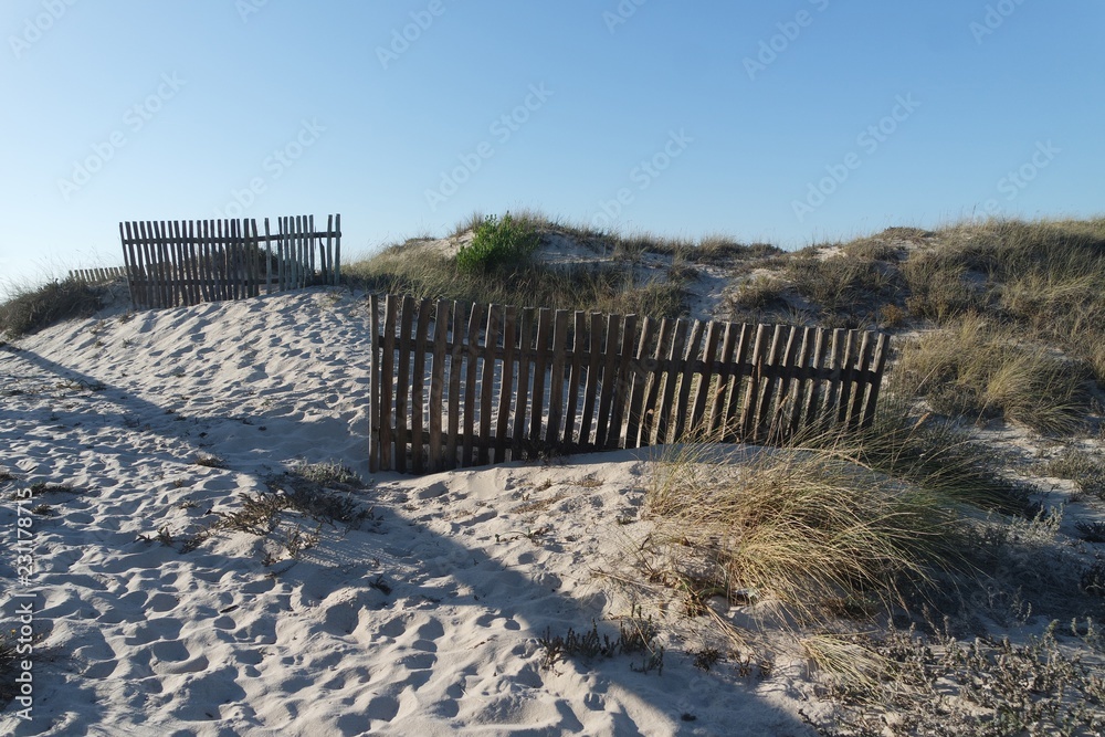 sand dunes of sao jacinto beach near aveiro sand dunes of sao jacinto beach near aveiro