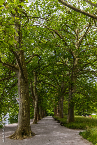 Beautiful view near Mainau island-Bodensee-Bavaria-Germany