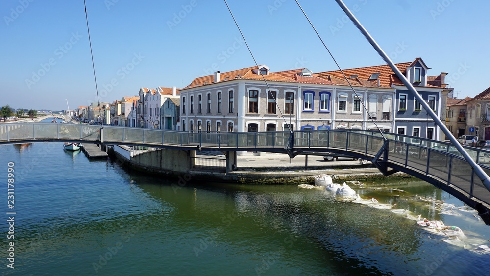 boat trip on the ship canal of aveiro