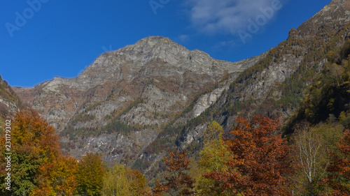 La montagna nel mese di ottobre con i suoi alberi rossi e gialli
