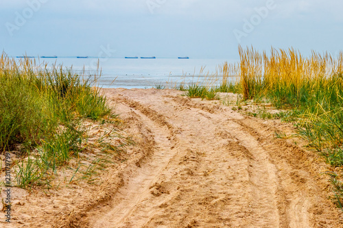 The sandy road on the beach leading to the water through the grass and cargo ships on the horizon. Taganrog bay, Azov sea, Russia