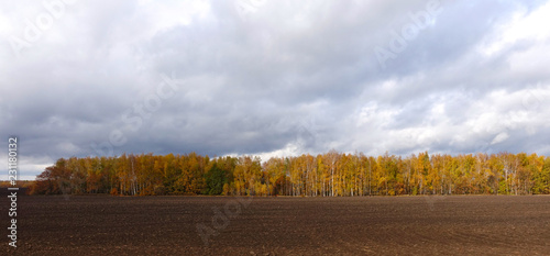  rable land and forest in autumn in Russia photo