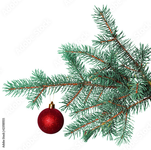christmas ball on fir branch isolated on white background © fotofabrika