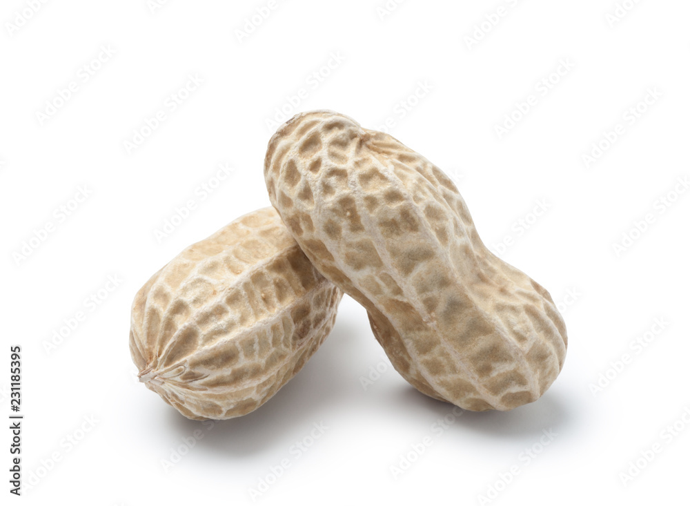 Two peanuts isolated on white background Two peanuts isolated on white background