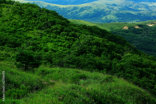 landscape hills with forest © kichigin19