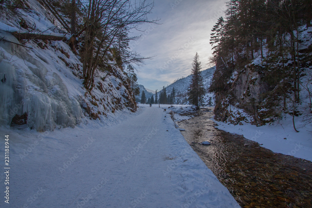 Naklejka premium Tatry - Dolina Kościeliska