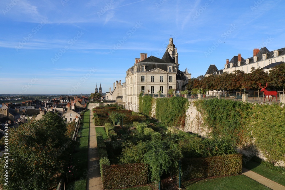Roseraie de Blois, france, blois, Terrasses, Roseraie, architecture, church, building, old, tower, town, landmark, view, cathedral, panorama, historic, cityscape, house, landscape