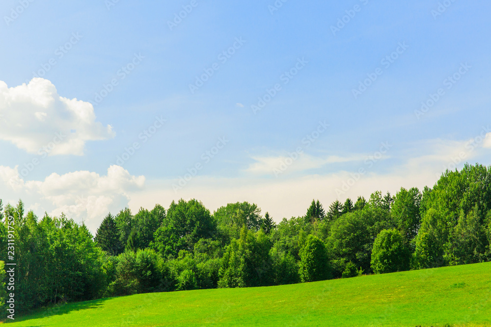 Beautiful landscape. Big forest, blue sky with clouds, green field