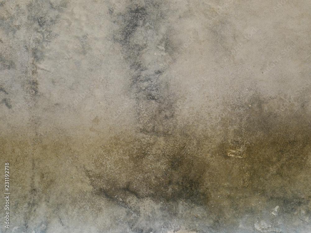 Obraz premium gray concrete wall,cement floor