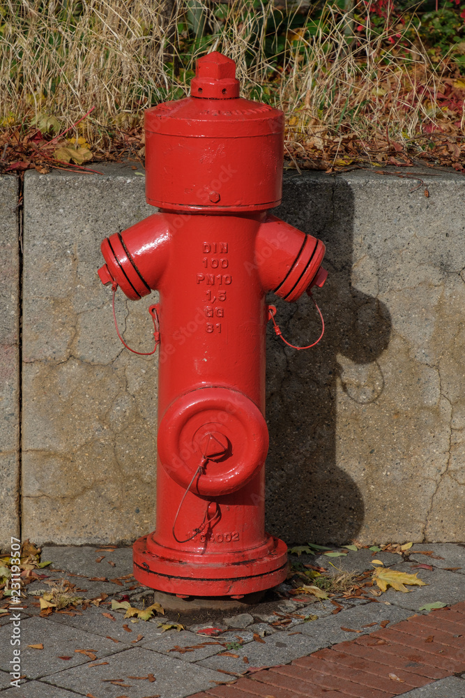 intensivroter Hydrant vor Mauer intensivroter Hydrant vor Mauer
