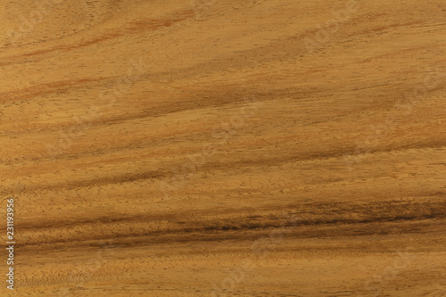 Monky pod (Albizia saman or Samanea saman) wood texture or grain. Commonly used wood for wood working. Also known as Raintree. High resolution. Sharp to the corners.