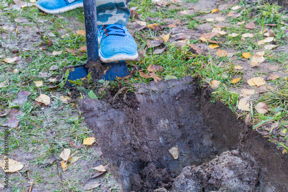 Fototapeta premium Man digging a ditch with a shovel in autumn