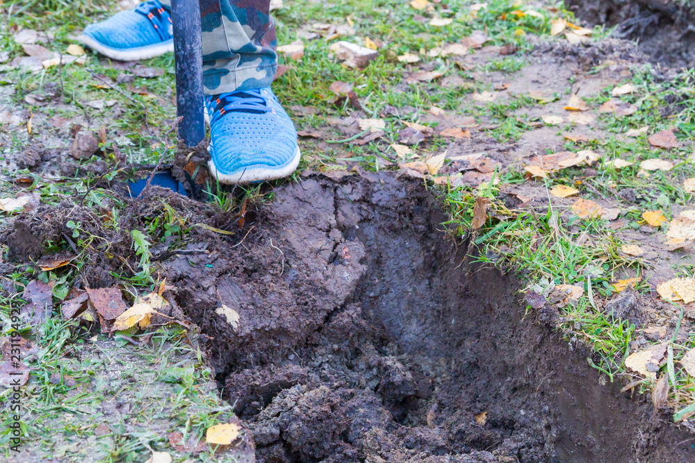 Fototapeta premium Man digging a ditch with a shovel in autumn