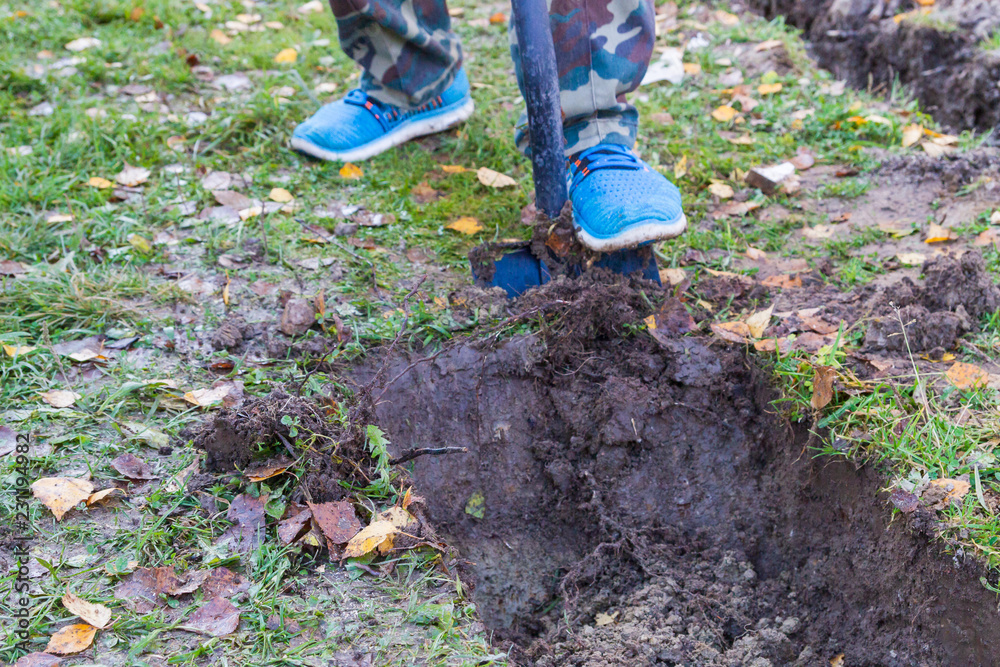 Fototapeta premium Man digging a ditch with a shovel in autumn