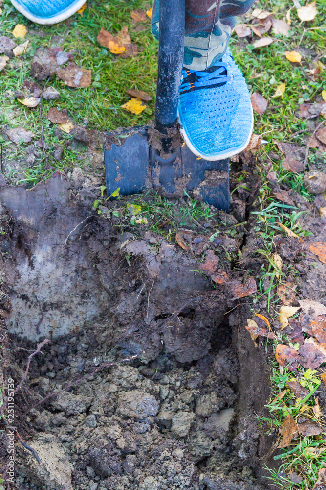 Fototapeta premium Man digging a ditch with a shovel in autumn