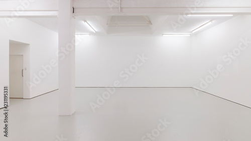 A view of a white painted interior of an empty room or an art gallery with a skylight lighting and concrete floors