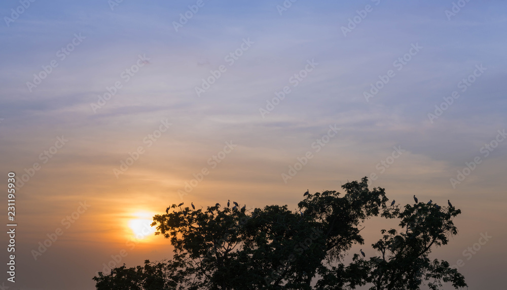 夕焼け サンセット 太陽 鳥 家 シルエット Stock Photo Adobe Stock 夕焼け サンセット 太陽 鳥 家 シルエット Stock Photo Adobe Stock