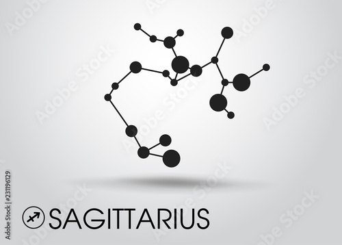 Zodiac and  Grey Gradient Background. Illustration Vector EPS10.