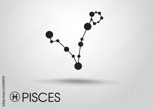 Zodiac and  Grey Gradient Background. Illustration Vector EPS10.
