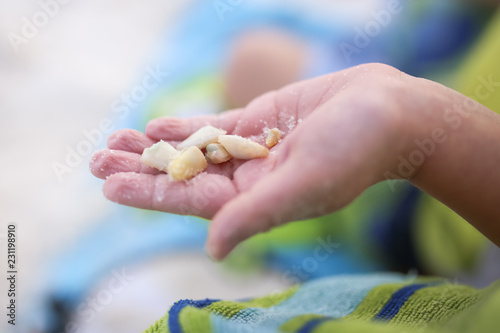 Small Child Holding Shells While On The Beach