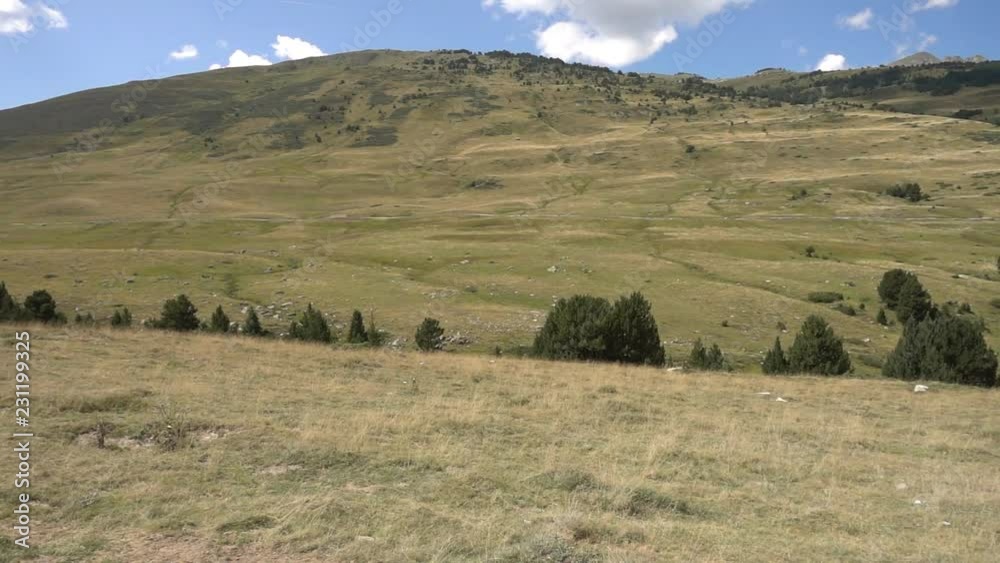 Mountains of the Pyrenees in the Valley of Aran in summer Mountains of the Pyrenees in the Valley of Aran in summer