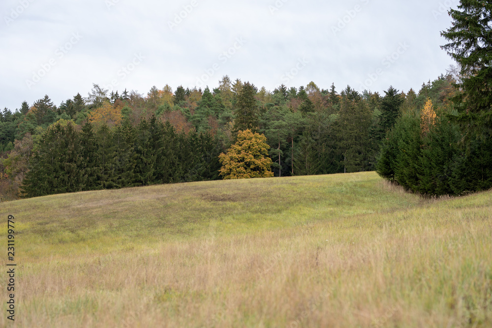 Herbsliche Landschaft in Bayern Hallertau