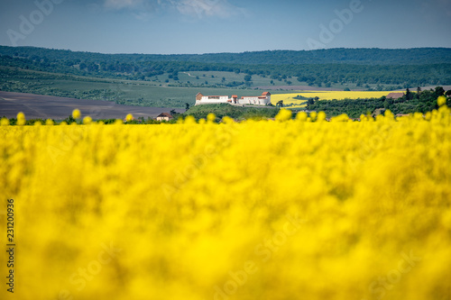 Feldioara the Teutonic Knights fortress in Transylvania near Brasov and Sighisoara photo