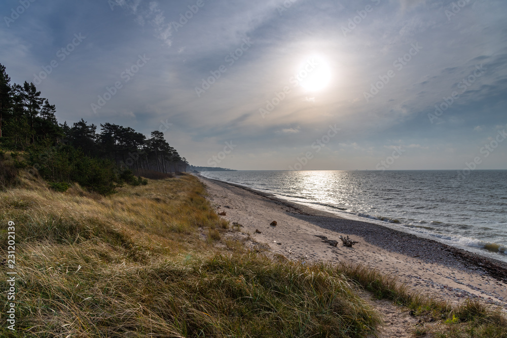 Baltic sea coast in autumn day.