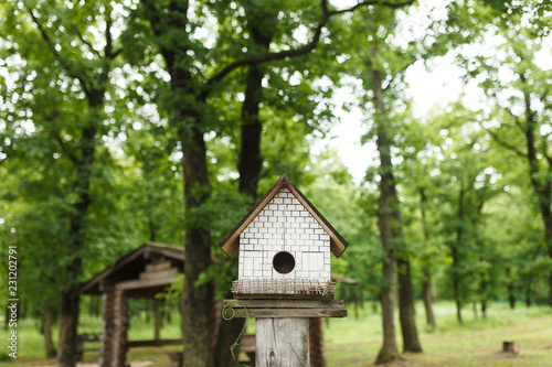 wooden bird house © Дмитрий Сурков